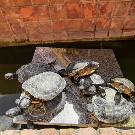 Marte In Trevi 公寓 罗马